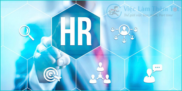 3 Nhóm Chức Năng Của Quản Trị Nhân Sự Cốt Lõi Trong Doanh Nghiệp