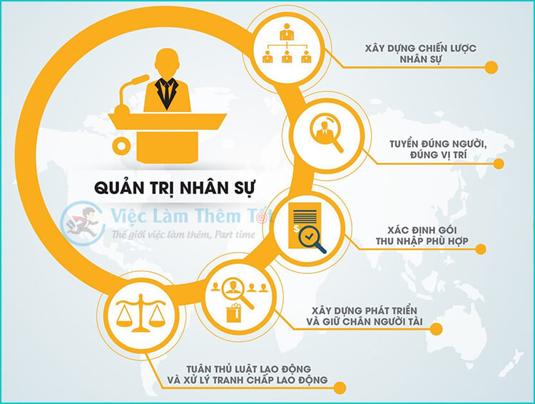 Quản Trị Nguồn Nhân Lực Là Gì? 4 Mục Tiêu Cốt Lõi Cho Doanh Nghiệp