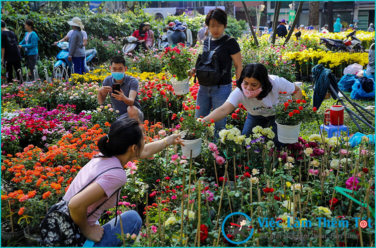 Phụ bán hoa tươi ngày tết là công việc thu nhập cao